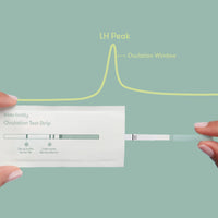 Ovulation Prediction Test